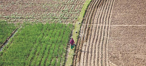 Point of no Agri-return 