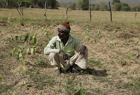 Moral hazards at different level, insurance unit at village level and manipulation of crop cutting experiment data are some of the major issues. Credit: Vikas Choudhary / CSE