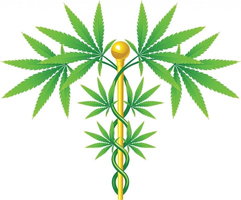 Is India moving towards legalising marijuana?  