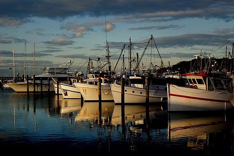 Approximately eight million tonne of plastic litter, up to ten percent of which is estimated to come from the fisheries sector, ends up in our oceans every year. Credit: Bernard Spragg. NZ/Flickr