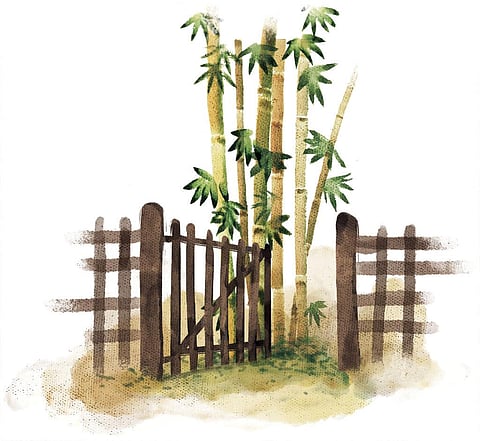 Illustration: Tarique Aziz