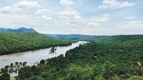 Credit: Satyendra Kumar