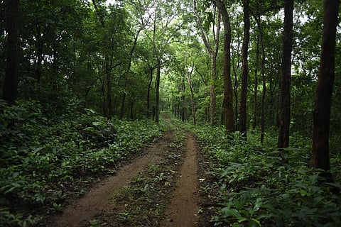 "Forests have been cleared to gain agricultural land for millennia…this was part of economic development." Credit: Adithyan P C/CSE