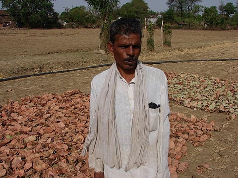 Despite legally given rights on bamboo and kendu under Forest Rights Act, communities encounter constant roadblocks in enjoying these rights. Credit: Kumar Sambhav Shrivastava 