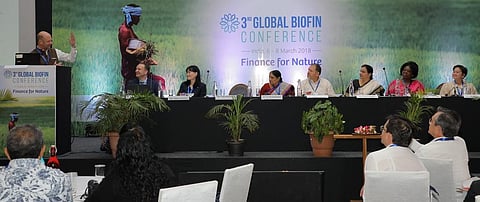 When it comes to biodiversity conservation, it was always thought of as a government’s job. Credit: BIOFIN 