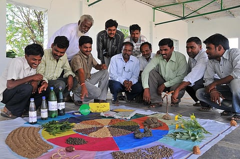 Designing appropriate seed systems for climate resilience is important in rain-fed areas, especially when it comes to smallholder farmers. Credit: Meeta Ahlawat