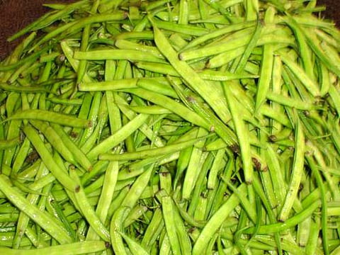 The Guar gum-based hydrogel is biodegradable. Besides increasing moisture content, it adds organic content to the soil upon degradation. Credit: Wikimedia