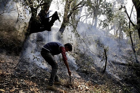 Forest fires in Kashmir happen between September and November—the driest months in the state. Credit: Vikas Choudhary / DTE
