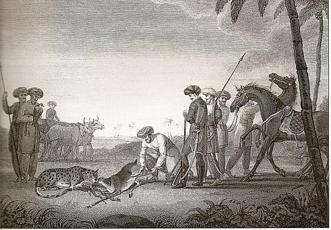 "Hunting of Blackbuck with Cheetah". Drawn by James Forbes in South Gujarat. Oriental Memoirs, Vol. I, 1812.   Credit: WIkimedia