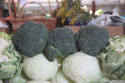 Healthy diversified diets are possible within food budgets and with less green house gas emissions, says the study. Credit: Andrey Filippov 安德烈/Flickr