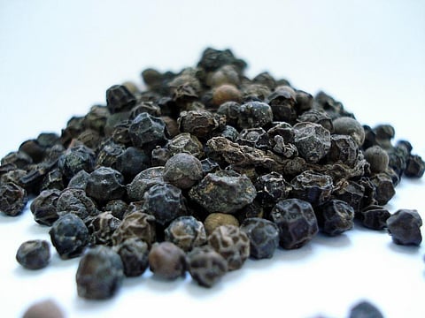 If this scenario continues, the Indian pepper industry is looking at considerable losses in the coming months. Credit: gokalpiscan/Pixabay