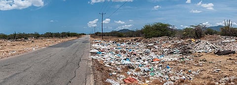 The soil beside roads is easily polluted by either car engines or vehicles splashing water off roads. Credit; Wikimedia Commons