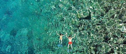 Coral reefs along the east coast of Africa and the islands of Zanzibar, Seychelles and Madagascar can provide jobs to thousands in diving and other allied industries