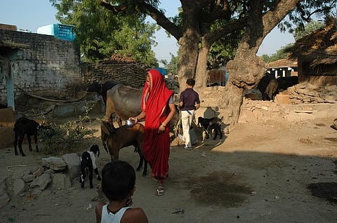 Ministry of Rural Development is encouraging MPs to adopt more than three Gram Panchayats as Adarsh grams by 2019. Credit: Agnimirh Basu 