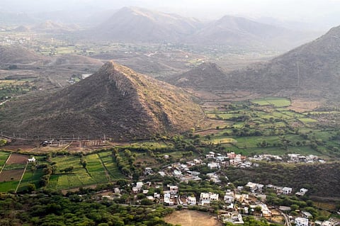 Open forest cover has decreased in the last three decades, while scrub has increased by 5.7 per cent. Credit: Wikimedia Commons