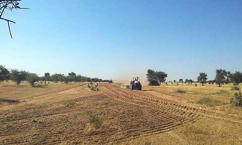 45 per cent of the food consumed globally comes from the dryland areas in the world. Credit: CDKNetwork / Flickr