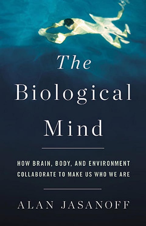 The Biological Mind: How Brain, Body, and Environment Collaborate to Make Us Who We Are 
Alan Jasanoff 
Basic Books | 304 pages | US $19.49 