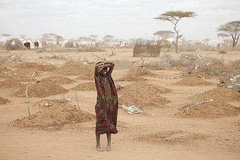 The FAO says shifting to proactive responses to prevent drought impacts is a cheaper approach. Credit: Wikipedia