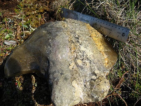 A chunk of thawing permafrost              Credit: Wikimedia Commons