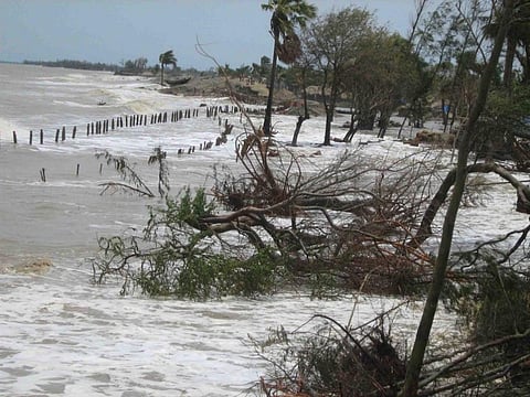 Inflow of tidal waters, Mousuni island, Sundarbans
© Arjun Manna/WWF-India