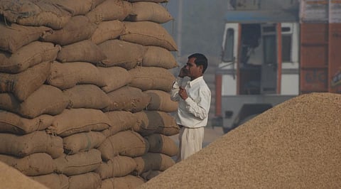 Demand for consumption of agricultural commodities is decelerating. Credit: Agnimirh Basu