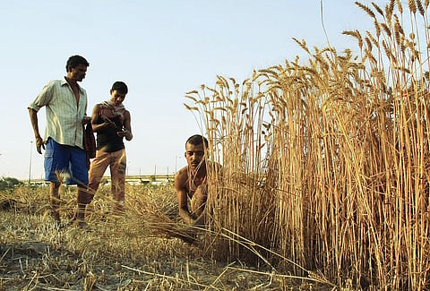 Photo: Vikas Choudhary