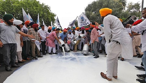 Protesting dairy farmers pour milk on to roads outside Jantar Mantar in New Delhi on Tuesday. Credit: Vikas Choudhary