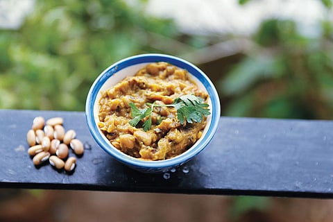 The rice bean is a robust species of pulses which can tolerate both drought as well as excessive rain