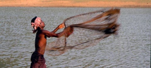 Fishermen are facing lack of quality inputs, says the report. Credit: Ruhani Kaur