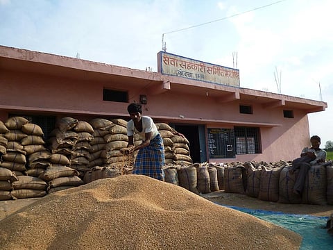 India will have its third consecutive bumper harvest but if FCI doesn’t have its operation fund, procurement and supply twill be hit. Credit: Jitendra/CSE