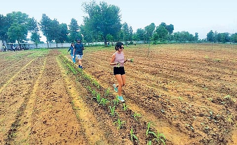 Meeta Talwar (in background), a Delhi-based architect, has leased 0.2 ha from Edible Routes in a village in Gurugram and says that her entire family enjoys the process of growing food (Photo: Arnab Pratim Dutta)