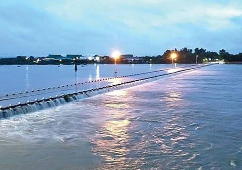 There are about 800 textile dyeing units on 
the banks of the Luni river in Rajasthan that discharge wastewater into the river  