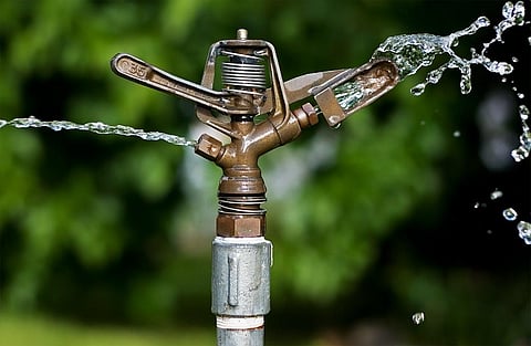 Irrigation in India also accounts for well over 75 per cent of the total water consumption. Credit: Wikimedia Commons