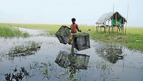 बिहार के कुल भौगोलिक क्षेत्रफल का 4.4 प्रतिशत दलदली क्षेत्र है। इसके चलते राज्य के 49 लाख मछुआरों की आजीविका सुनिश्चित होती है (फोटो: विकास चौधरी / सीएसई)