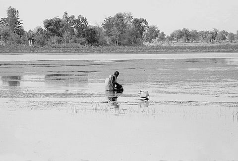 गोंडों के लिए सिंचाई के मुख स्त्रोत हैं- काटा, मुंडा और बंधा। काटा साधारण तालाब है जो दोनों छोरों पर जरा मुड़ा बांध डालकर तैयार किया जाता है (स्वदेश रंजन पंडा / सीएसई)