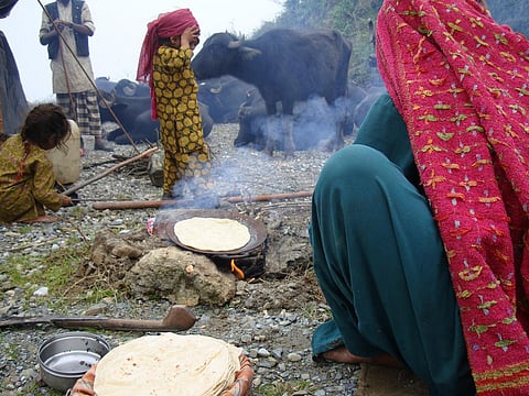 A Van Gujjar woman preparing 'chapatis' at a rest stop during the tribe's semi-annual trek in the Himalayas        Credit:  ILRI/Susan MacMillan/Flickr