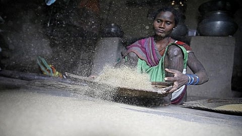 Often it is women who cultivate and manage millet production and so it could be deemed a woman’s crop, says the lecturer. Credit: Vikas Choudhary/CSE