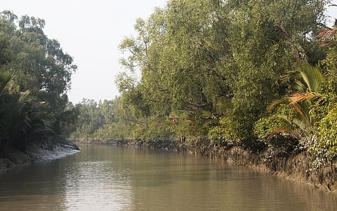 Maintaining ecosystem services is a key enabler in enhancing resilience and adaptive capacity Credit: Getty Images