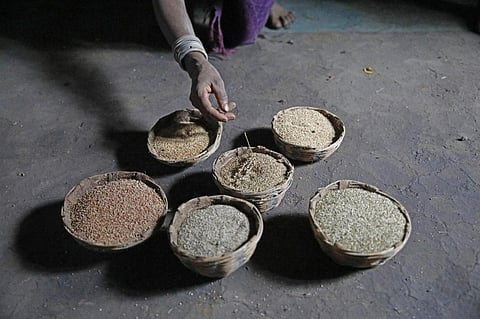 The ecologists say there was a need for behavioural change among the youth to revive indigenous foods. Credit: Vikas Choudhary                                                                                                                                                     
