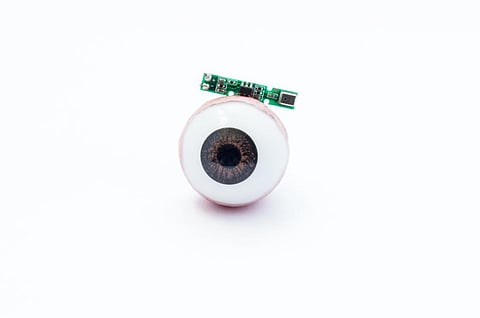 Anatomical model of human eye or eyeball with digital artificial microchip on white background.. Credit: Getty images