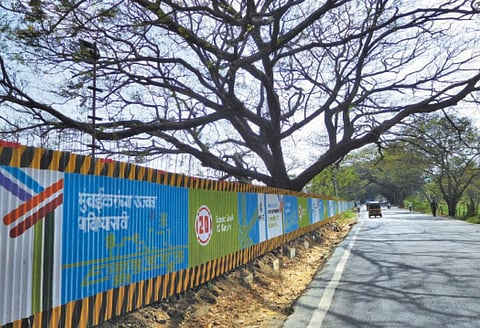 Mumbai's citizens have been fighting BMC and MMRC tooth and nail to save Aarey, the city's last green zone, from  the proverbial axe (Photo: Gajanan Khergamker)