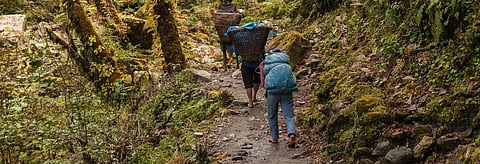 Only 6.67 per cent forest land has been recognised till the end of August this year. Credit: Getty Images