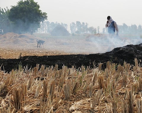 Representational Photo of stubble burning     Credit: Vikas Choudhary