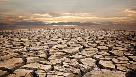 Gujarat, where 67 per cent of districts received deficient rainfall, is yet to declare a drought. Credit: Getty Images