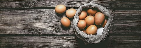 Picture for representation only; The eggs produced by Happy Hens are rich in omega 3 fatty acids, odourless and hard shelled. Credit: Getty Images