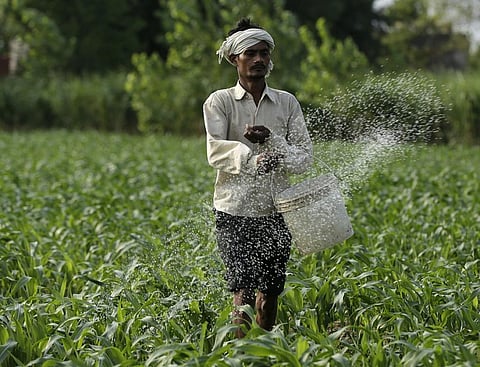 Around half the world’s population depends on nitrogen fertilisers for food consumption. Credits: Vikas Choudhary