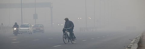 Delhi's own sources of pollution are greatly responsible for the poor air quality it saw in the past few weeks. Credit: Vikas Choudhary/CSE