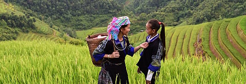 To meet global target, countries want formal control over indigenous communities’ lands