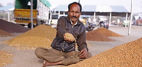Agriculture sector’s gross capital formation grew at an average annual rate of 9.70% per cent from 2016-17 to 2022-23
