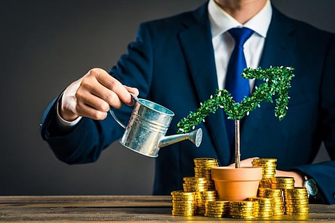 The report says that in developing countries the rate of decline in natural capital has been five times higher than in rich economies. Credit: Getty Images